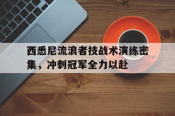 开云体育官网-包含西悉尼流浪者技战术演练密集，冲刺冠军全力以赴的词条