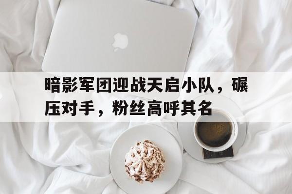 开云体育登录-暗影军团迎战天启小队，碾压对手，粉丝高呼其名