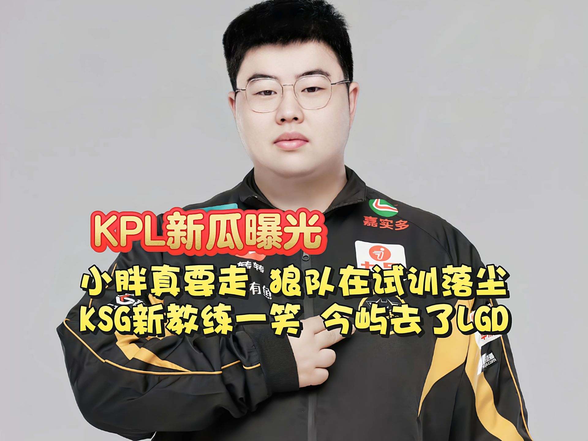 瓜主爆料KPL选手收入月色一年52W，明星选手一年超过500W